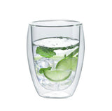 Double Wall Glass Cup